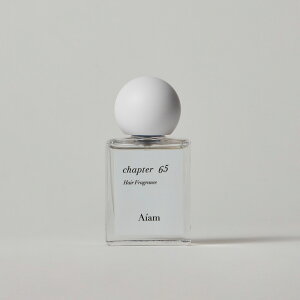 Aiam ACA wAtOX~Xg `v^[65 30mL c wAPA  TT Ȃ₩@_[W@ێ@Mtg@v[g o^C