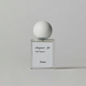 Aiam ACA wAtOX~Xg `v^[29 30mL c wAPA  TT Ȃ₩@_[W@ێ@Mtg@v[g o^C