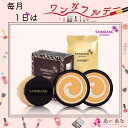 送料無料 対象 ＜ パーフェクトスキン FD レフィル 2個セット ＞ サイムダン プレミアム 4Kアクトレス パーフェクトスキン リッチファンデーション レフィル 2個セット美容成分71% 毛穴レス メイク長持ち テレビ ショッピング