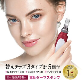 【クーポンで200円off】 電動ダーマスタンプ 日本語説明書付 替チップ 12針 36針 ナノチップ 3タイプ計5個付 0.25ミリ-2.0ミリに調整可能 美顔器 ダーマスタンプ ダーマペン 針 マイクロニードル ニキビ跡 鍼 毛穴 しわ 妊娠線 ほうれい線 ニキビ 薄毛 ギフト プレゼント