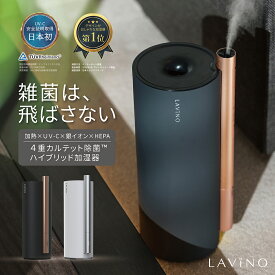 【新品 未使用 訳あり 難あり品 傷汚れ】23年モデル UVC認証取得 安心な潤いを ラビーノ エアリファイ ハイブリッド式 加湿器 スチーム式 おしゃれ 大容量 タワー タワー型 アロマ 上から給水 上給水 コンパクト タイマー UVC 加熱 スチーム 銀イオン 静音 省エネ 花粉 乾燥