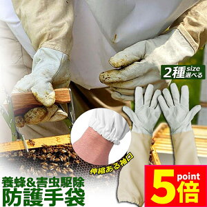 |Cg5{ }\Z[{Ip hO[u Ɨp _炩rv K[fjOO[u  v | t[TCY OO[u I Ȋ 쏜 Q쏜  