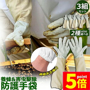 |Cg5{ }\Z[{Ip hO[u Ɨp _炩rv 3gZbg K[fjOO[u  v | t[TCY OO[u I Ȋ 쏜 Q쏜 