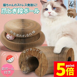 |Cg5{ }\Z[Lp܂Ƃ ܌ ܂Ƃi{[ L L 4Zbg Lp܂Ƃ {[t ܂ݎ njJ\ 2in1 gݗĊȒP {- ܌  ܖ