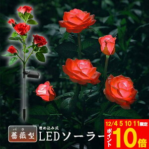 O \[[Cg K[fCg 胉Cg ߍݎ h  ZT[ LEDK[fCg ԏ   Ő 5փ[YCg o KN K[fjO t[ GNXe