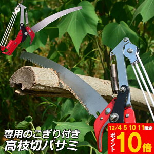 }؂oT~ [v }؂̂ }mRM }؂oT~ } y ͂ K[fjOpi  ʎ ̎ } nT~ | K[fjOpi