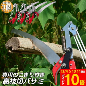 }؂oT~ 3Zbg [v }؂̂ }mRM }؂oT~ } y ͂ K[fjOpi  ʎ ̎ } nT~ | K[fjOpi