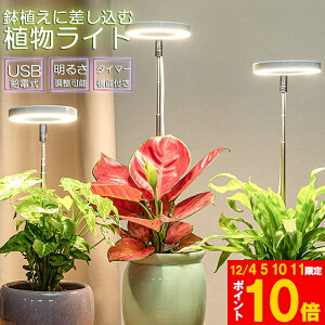 Ԍ!|Cg5{10{LEDA琬Cg A琬Cg Aɍ 4iK LED ACg A琬v ϗtApCg ͔|v I/It^C~O