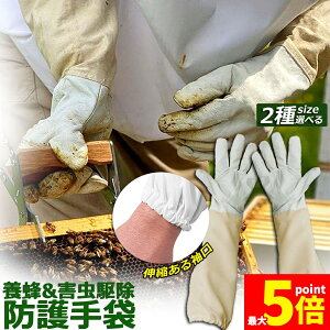 Ԍ!|Cg5{10{{Ip hO[u Ɨp _炩rv K[fjOO[u  v | t[TCY OO[u I Ȋ 쏜 Q쏜  