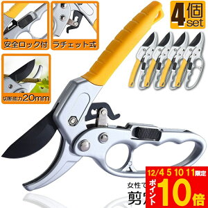 Ԍ!|Cg5{10{΂ `Fbg 4Zbg  |p͂ }؂΂ A~ `Fbg΂ ɂ y }  ~ 뉀 A  } K