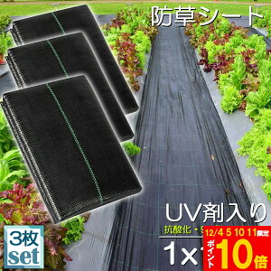 Ԍ!|Cg5{10{hV[g 10m X 1m 3Zbg V[g |pV[g GV[g UVܓ  _ ƒp |p  Gʐ  Y K[fjO ԏ ƒ