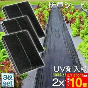 Ԍ!|Cg5{10{hV[g 10m X 2m 3Zbg V[g |pV[g GV[g UVܓ  _ ƒp |p  Gʐ  Y K[fjO ԏ ƒ