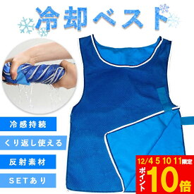 ★期間限定!ポイント5倍＆10倍★冷却ベスト クールベスト 冷感ベスト 冷却 熱中症 猛暑対策 冷却服 ひんやりグッズ 工事現場 工場内 屋外 スポーツ 冷感 涼しい 保冷服 農業 屋外作業 釣り 暑さ対策 夏 水冷 空調服 物理冷却 保冷