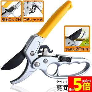 Ԍ!|Cg5{10{΂ `Fbg  |p͂ }؂΂ A~ `Fbg΂ ɂ y }  ~ 뉀 A  } K[fj