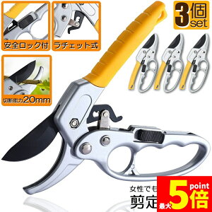 Ԍ!|Cg5{10{΂ `Fbg 3Zbg  |p͂ }؂΂ A~ `Fbg΂ ɂ y }  ~ 뉀 A  } K