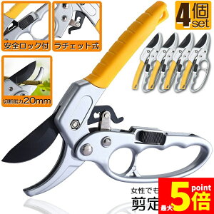 ���労�ӍՁI�|�C���g5�{������΂��� ���`�F�b�g�� 4�Z�b�g ������ ���|�p�͂��� �}�؂�΂��� �A���~ ���`�F�b�g������΂��� ����ɂ��� �y�� ���} ���� �~�� �뉀 �A�� ��� �} �K�[�f