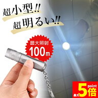 ★限定！最大20%OFF★キーホルダー 懐中電灯 小型 ハンディライト コンパクト LEDライト 電池式 ストラッ…