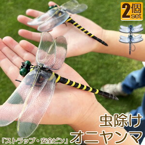 Ij}  ΍ Sst Xgbvt 2Zbg g{ 悯͌^ Xqdrsv iȂ nG  Q I L[z_[ qp  AEghA Lv 