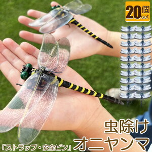 Ij}  ΍ Sst Xgbvt 20Zbg g{ 悯͌^ Xqdrsv iȂ nG  Q I L[z_[ qp  AEghA Lv 