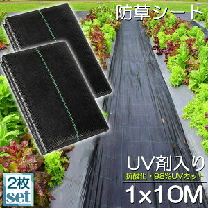 hV[g 10m X 1m 2Zbg V[g |pV[g GV[g UVܓ  _ ƒp |p  Gʐ  Y K[fjO ԏ ƒ؉ ϋvN3N lH G 
