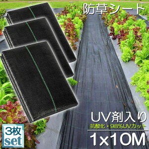 hV[g 10m X 1m 3Zbg V[g |pV[g GV[g UVܓ  _ ƒp |p  Gʐ  Y K[fjO ԏ ƒ؉ ϋvN3N lH G 