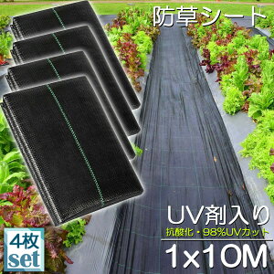 hV[g 10m X 1m 4Zbg V[g |pV[g GV[g UVܓ  _ ƒp |p  Gʐ  Y K[fjO ԏ ƒ؉ ϋvN3N lH G 