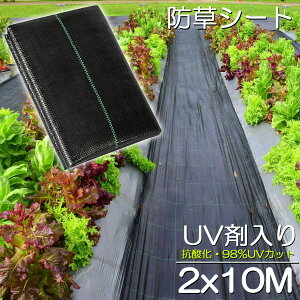 hV[g 10m X 2m V[g |pV[g GV[g UVܓ  _ ƒp |p  Gʐ  Y K[fjO ԏ ƒ؉ ϋvN3N lH G Ő DIY  