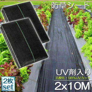 hV[g 10m X 2m 2Zbg V[g |pV[g GV[g UVܓ  _ ƒp |p  Gʐ  Y K[fjO ԏ ƒ؉ ϋvN3N lH G 