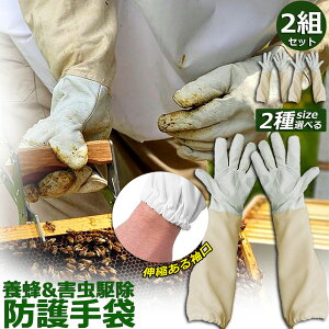 {Ip hO[u Ɨp _炩rv 2gZbg K[fjOO[u  v | t[TCY OO[u I Ȋ 쏜 Q쏜  Ɨp jp 悯 