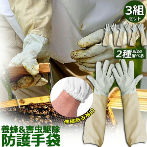 {Ip hO[u Ɨp _炩rv 3gZbg K[fjOO[u  v | t[TCY OO[u I Ȋ 쏜 Q쏜  Ɨp jp 悯 