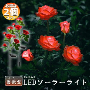 O \[[Cg K[fCg 胉Cg 2Zbg ߍݎ h  ZT[ LEDK[fCg ԏ   Ő 5փ[YCg o KN K[fjO GNX