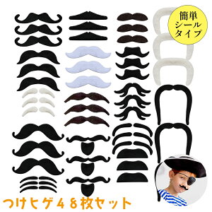 Ԍ|Cg5{Ђ 48Zbg V[ 16 1Zbg nEB p[eB[  RXv l^ SNSf E ʐ^ q Ԃ ybg g ΂ ʔ ʔObY 