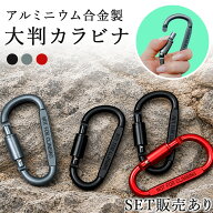カラビナ D型 ネジロック付き 大きめ フック ロック 固定 吊り下げ Dリング キーホルダー キャンプ アウ…