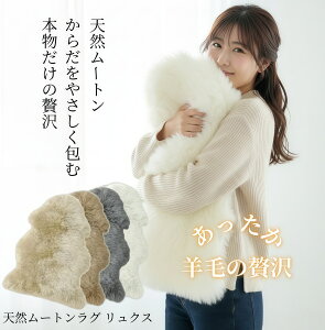 VR[gO iEx̂ӂӂ타[g 60x90 65x180 \t@[O ӂӂ타[g pږ C C  g{v{ґ򂨂ꌒNVRf