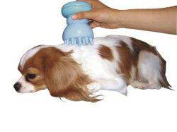 楽天市場 犬用マッサージ器 ミーマペット シングルタイプ 配送区分 P 藍星 ドッグフード キャットフード