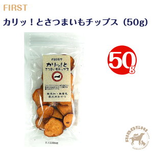 t@[Xg@JbIƍY܂`bvXi50gj