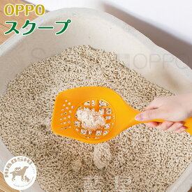 OPPO オッポ スクープ Scoop　（チョコレート）【お取り寄せ商品】