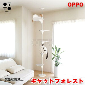 OPPO Ib| LbgtHXg CatForest-2 zCg Lp Lbg^[ ˂^ X  Vv B Xebv  ^s XgX Vя CeA X