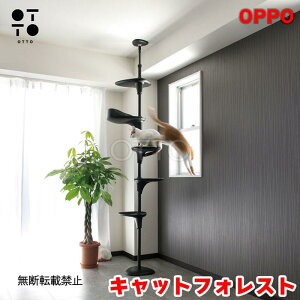 OPPO Ib| LbgtHXg CatForest-2 ubN Lp Lbg^[ ˂^ X  Vv B Xebv  ^s XgX Vя CeA X