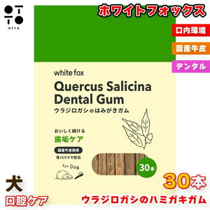 EWKV݂̂͂K 10{ 30{ |   f^PA  L AH A t Η\h I zCgtHbNX 4562159072544 4562159072551