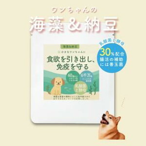 C[Tv 30g |   dog hbOpTv 畆  e  Ɖu ЊCƗ΂̋Zp 4560124953003