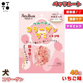 ペッツルート フルーティコラーゲングミ 40g | 犬 ペットフード 愛犬 ご褒美 ドッグ イヌ 愛犬 dog おやつ コラーゲン 関節ケア 皮膚 被毛 美容 イチゴ バナナ 青リンゴ 選択可 4984937684884 4984937684891 4984937684907