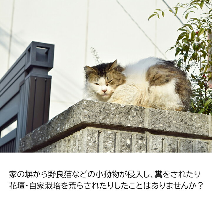 楽天市場 侵入防止ボード 忍び返し 侵入防止柵 後付け Diy 簡単取り付け ネコ 小動物 バルコニー 庭 花壇 送料無料 防犯グッズのあんしん壱番