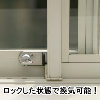 はいれーぬ 鍵付き 3個パック(DS-H-15V)