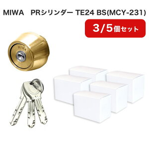 MIWA abN LSP^Cv PR V_[    DIY fBv }V փhA LE-11 TE-01 TE-02 GAE PESP LZSP TE24 BSF S[h MCY-231 ܂ƂߔZbg 3 5