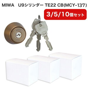 MIWA abN LSP^Cv U9 V_[    DIY }V փhA LE-11 TE-01 TE-02 GAE PESP LZSP TE22 uYF MCY-137 ܂ƂߔZbg 3 5 10