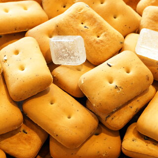 ブルボン 缶入りカンパン100g(5年保存) 24個セット