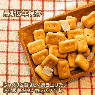 ブルボン 缶入りカンパン100g(5年保存) 24個セット