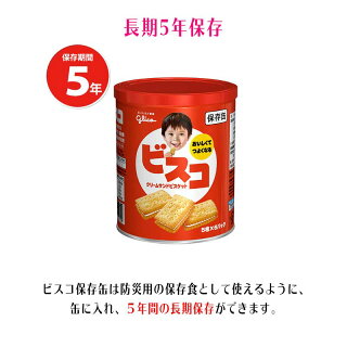 長期5年保存 ビスコ保存缶