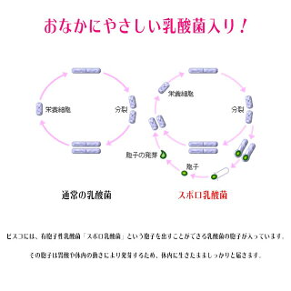 長期5年保存 ビスコ保存缶